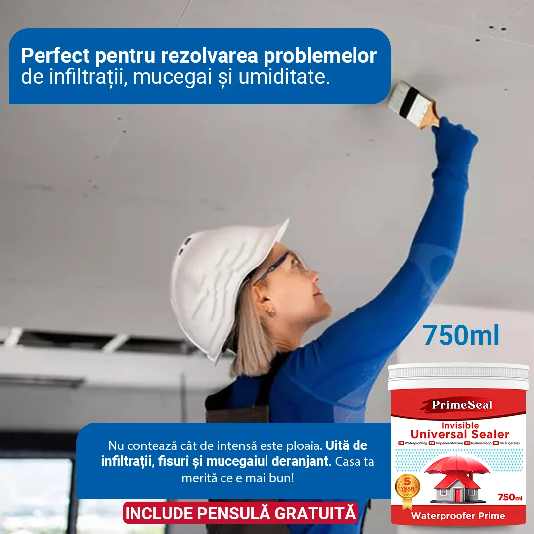 PrimeSeal: Protecție Transparentă Împotriva Infiltrațiilor